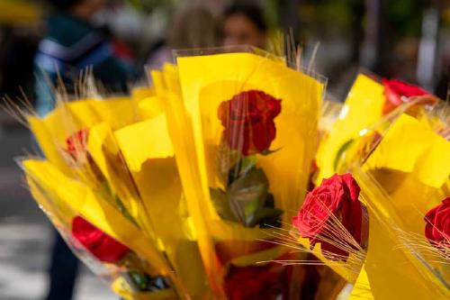Ciutadans vol que Sant Jordi sigui festiu a Catalunya i declarar-ho patrimoni de la humanitat   