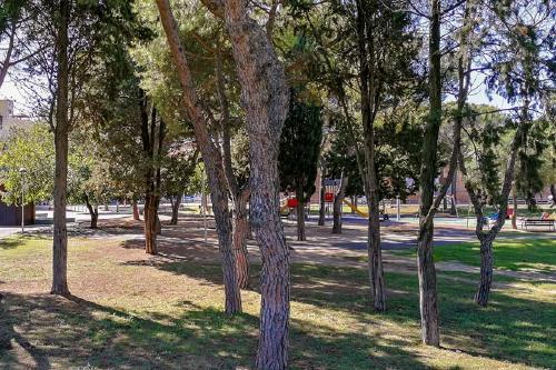 El Ple proposarà el nom de Parc de Pere Bufí i Pérez al Parc Municipal