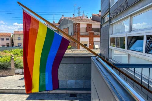 El Ple aprova avui una proposició en suport a la commemoració del Dia de l'Orgull LGTBI